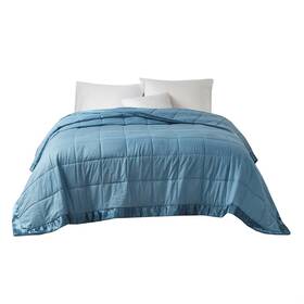 Madison Park 086569636232 Cambria Down Alternative Blanket Premium Scotchgard Moisture Wicking Treatme