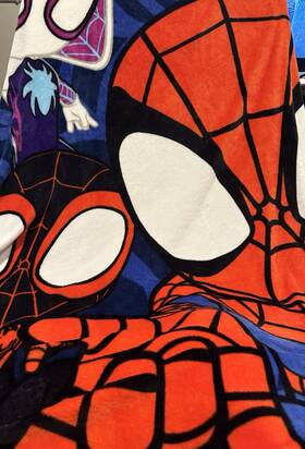 Marvel Jfa25-01/25l008852 Spidey And His Amazing Friends Twin/full Soft Plush Blanket 62x90