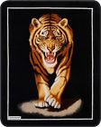 Medium Weight Blanket Regal Comfort Bengal Tiger Queen Size 79 X96 Soft Bed Spread Throw 610079244450