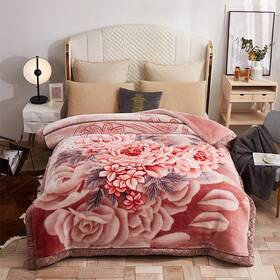 B0ckngplpz Moduskye Mink Blankets Korean Heavy Fleece Plush 78x90 Inch 2 Ply