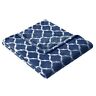 Mp50-1731 Madison Park Ogee Oversized Throw In Navy Finish 675716639914