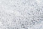 Ms17-d4-011-384 Mainstays Kids Holographic Ivory 784857770698