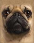 Mtn-bl-4009 Just Funky Llc Dog Fleece Blanket Pug Face 810069027807