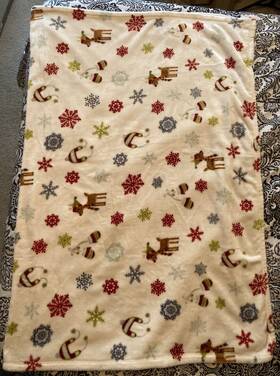F21650 Northpole North Pole Trading Co Velvet Plush Throw White Reindeer Snowflakes Mittens 50x70