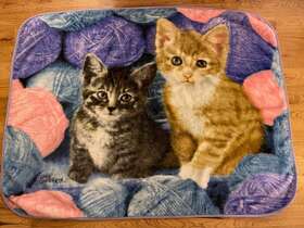 Northwest 190604210377 Fleece Throw Blanket Kittens With Wool Yarn 50 Inch X60 Gray Brown Cats