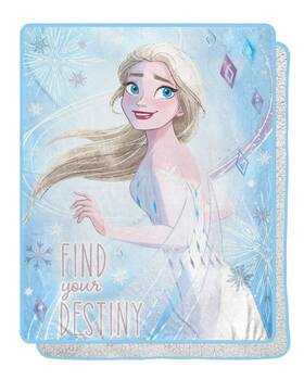 C003 Northwest 1dfz/20000/c003/edc Frozen Silk Touch Sherpa Throw Blanket 40 Inch X 50 Magical Destiny