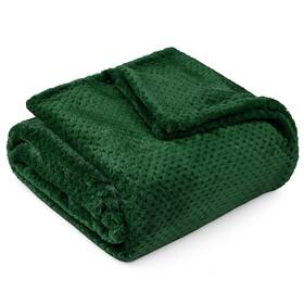 P-b3010wfx-gn Pavilia Emerald Green Throw Blanket For Couch Twin Bed Soft Fleece Throws Sofa