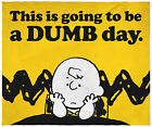 Pea0159bl Peanuts Charlie Brown This Is Going To Be A Dumb Day Throw Blanket Wall Scroll