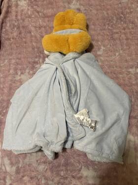 Pillowfort 073558885740 Disney Princess Cinderella Hooded Blanket 50 Inch X 40