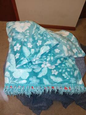 Pwf201324022001 Pioneer Woman Reversible Velvet Throw Polyester Plush Blanket 3 X 6 Preowned