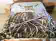 Q917 Queen Size Royal Standing Deer Mink Style Designed Blanket