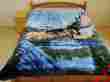 Q930 Royal Flying Eagle With Mountain Scene Queen Size Mink Style Blanket Soft Warm