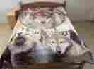 Q959 Queen Size Royal Wolf Group Mink Style Soft Warm Designed Blanket