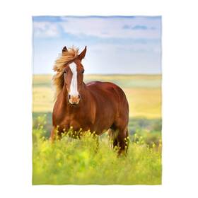 Qh 479525921123 60 X 80 Inch Beautiful Horse Pattern Super Soft Throw Blanket For Bed Sofa Li