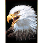 - Queen-sized Patriotic Eagles Spirit Blanket Symbol Throw Indigo Warm