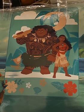 Raschel 032281148171 Disney Princess Moana Plush Twin Blanket 60 Inch By 80