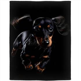Rstick 300828424191 Dachshund Blanket 40 Inch X50 Black Dog Fleece Soft Fuzzy Plush Throw Blanke