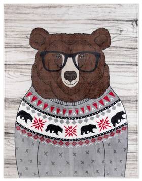 65903.z.01 Safdie & Co. 688466013569 And Premium Printed Flannel 60 Inch X48 -super Soft Lightweig