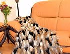 Sc Love Collections 58 X 60 Bird Gold Feathers Faux Fur Throws Comforter Black White Ostrich 639725426279