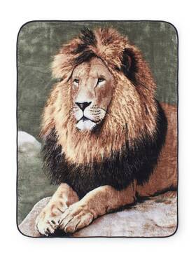 Shavel Home Products 718498952779 Luxury High Pile Oversized Blanket Throw Plush And Warm 60x80 Lion