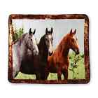 Shavel Home Products Horse Trio Throw Blanket Soft New Free Usps Shipping 718498092260