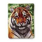 Shavel Home Products Tiger Thrrow Blanket Soft New Free Usps Shipping 718498092154