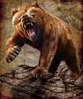 Signature Collection Jq Grizzly Bear High Quality Plush Pile Fuzzy Queen Blanket 000001022070