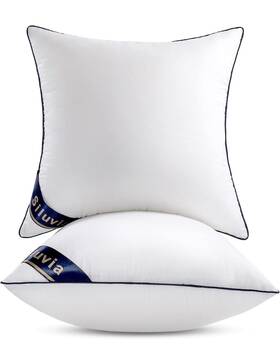 B09ptc2hcm Siluvia Ca 24x24 Pillow Inserts Set Of 2 Euro Throw Pillows 100% Cotton White New