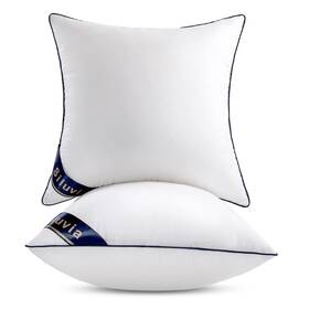 Stpi001 Siluvia 22 Inch X22 Pillow Insert Set Of 2 Square Throw Pillows With 100% Cott