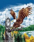 Gift-q8933 Sized Eagle Queen Designed Tree Blankets 2ply