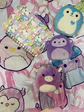 686901122317358 Squishmallows Big Bundle Original Throw Blanket And Notebook-3 Cute