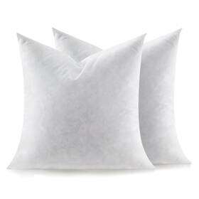 Swandream 797725636361 Feather Throw Pillow Inserts Set Of 2 Soft Fluffy Square 22 X Inches Deco