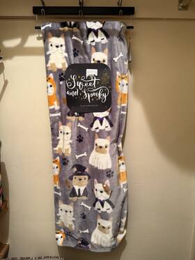 Sweet And Spooky 195691050165 French Bulldog Frenchie Throw Blanket Halloween 50x70