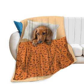 S-blanket-8ybxfu30ouq2 Taimeng Dachshund Dog Blanket For Girls Boys Gifts Throw Couch