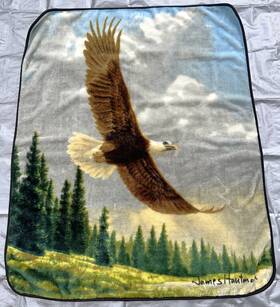 The Northwest Company 087918448476 James Hautman Art Soaring Bald Eagle Bird Fleece Throw Blanket 62x50 Inch