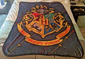 The Northwest Company 190604102900 Harry Potter Hogwarts Draco Soft Warm Blanket 45 Inch X 60