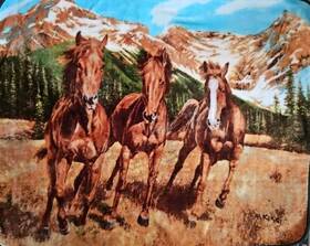The Northwest Company 190604136387 Spring Run Horses Mountains Sky Plush Throw Blanket 50x60