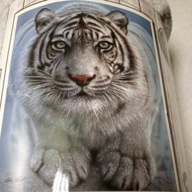 The Northwest Company 190604210339 White Siberian Tiger 50in X 60in Plush Throw Blanket Collin Bogle Signed
