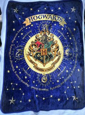 The Northwest Company 190604293035 New Harry Potter House Of Hogwarts Soft Super Plush Large Throw Blanket 43 X60