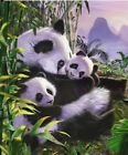 41194291 Urbr0939 East Urban Home Panda Retreat Mink Blanket