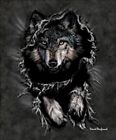 41194293 Urbr0941 East Urban Home Penfound Wolf Mink Blanket 192200387484