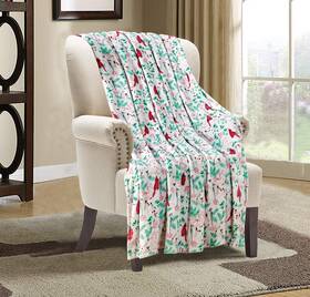 Valerian 686091878133 Luxury Velvet Super Soft Light Weight Blanket Prints Fleece Throw - All Year