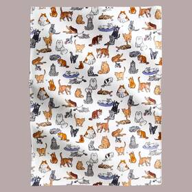 50669-23263 Vera Bradley New Nwt A Cats Life Cream Oversized Throw Blanket 66 X 94 Soft