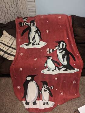 Vera Bradley 886003639030 Fleece Throw Blanket Playful Penguins Cabernet