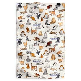 Vera Bradley 886003948613 Essential Throw Blanket A Cats Life Cream 50 Inch X 80