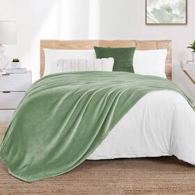 Walensee 734257021531 Fleece Blanket Plush Throw Fuzzy Lightweight King Sage