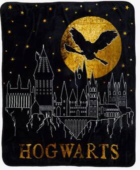 Warner Brothers Harry Potter 032281193621 Soft Plush Throw Blanket With Hogwarts 60 Inch X 50 Kids Bedding