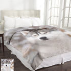 Wmb01-husky Maison Condelle Lauren Taylor 191827504809