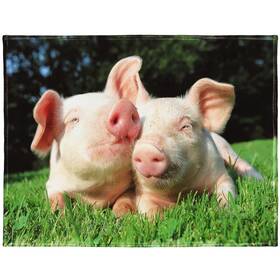Yisumei 427520496856 50x80 Inch Comfortable Warm Plush Blanket - Cute Pig Throw For Couch