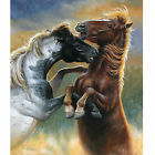 Young Studs Queen Blanket Warm Super Soft And Plush Mink Style Equestrain Horses 753807474054